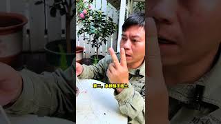 花卉绿植盆栽教你如何判断花卉养得好不好，看这4点 [upl. by Germana]