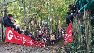 Course des as 2019 du Cross du Courrier de lOuest à Pignerolle à SaintBarthélemydAnjou [upl. by Anorahs443]