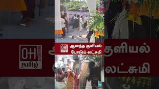 Srirangam Elephant  ஆனந்த குளியல் போடும் லட்சுமி  OH Tamil [upl. by Cheng]