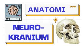 Anatomi Neurokranium Calvaria amp Basis Cranii  Anatomy 101 [upl. by Eelesor]