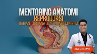 Mentoring Modul Reproduksi Anatomia Genitalia Femininum [upl. by Graner487]