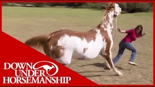 Once Bitten Twice Shy How to Train a Dangerous Dominant Horse [upl. by Yztim]