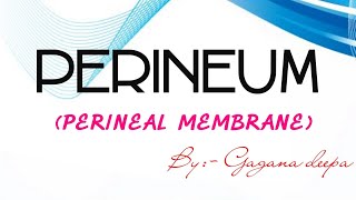 Perineal membrane [upl. by Ellerd]