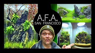 The First Aquascape Focused Store The USA Nano Tanks Aqua Forest Aquarium  San Francisco [upl. by Rehctaht]