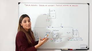 Redox Tipos de electrodos Electrodo de hidrógeno Potenciales de reducción estándar Eº [upl. by Ecnatsnoc]