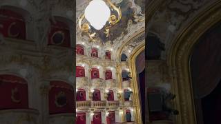 Deutsches Opernhaus Prag Shorts prague vlog opera [upl. by Yatnoed182]