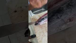 Amazing tuna cutting skills by professional youtubeshorts shortvideo shortsfeed shorts fyp [upl. by Mundt]