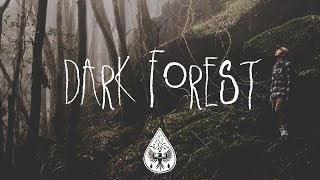 Dark Forest 🦇  An IndieFolkAlternative Playlist Halloween 2017 [upl. by Nich]