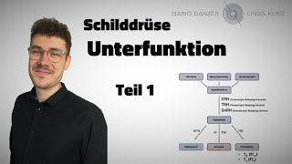 Zwischen Gehirn und Schilddrüse  👨‍🏫 Hypothyreose  Folge 1 [upl. by Elakram]