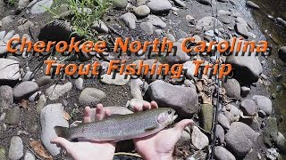 Cherokee North Carolina trout fishing trip [upl. by Theurer]