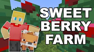 FAST Sweet Berry Farm Minecraft 120 [upl. by Humo]