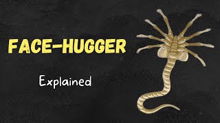 Face Hugger  Explained Alien Lore [upl. by Adnalra]