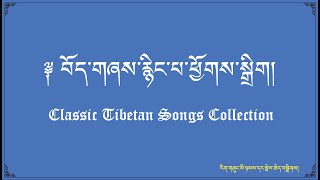 Classic Tibetan Songs  Tibetan Songs Collection  Best of Tibetan Song Oldies [upl. by Bannerman427]