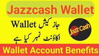 Jazzcash Wallet Number Kya Hota Hai  What Is Jazzcash Wallet Account [upl. by Meehyrb]