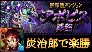 【パズドラ】アポピス降臨を炭治郎で攻略 [upl. by Cory673]