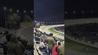 2024 Ambetter Health 400 finish from the stands [upl. by Spalding761]