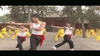 The Challenge 谁与争锋  Robin Leong Vincent Ng Terence Cao  SHOWS REAL KUNGFU 20 [upl. by Neddy976]