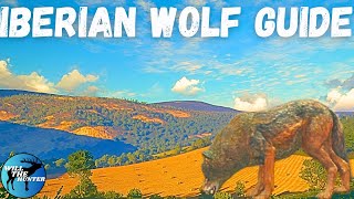 Cuatro Colinas Iberian Wolf Guide TheHunter Call Of The Wild 2023 [upl. by Carolan733]