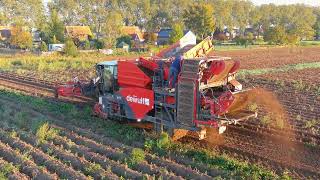 Unleashing the Beast De Wulf RA3060 Potato Harvester in Action [upl. by Eednyl]