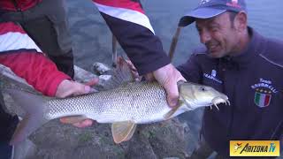 MONDO PESCA  APERTURA TROTA 2021  TUTORIAL PESCA A DRAGARE  FIUME ADDA LODI  sportfishing [upl. by Orpha]