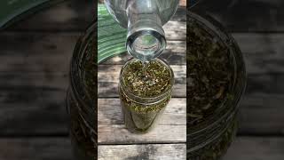 Easy lemon balm tincture recipe from July’s Plant of the Month box tincture herbalism plants [upl. by Ytirahs]