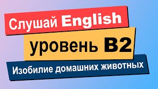 Лучшая практика для улучшения понимания английского языка на слух уровня B2 выше среднего [upl. by Saoj]