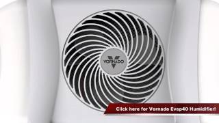 Vornado Evap40 4 Gallon Evaporative Humidifier Review [upl. by Hershel]