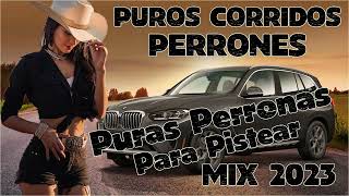 Puros Corridos Perrones  Puras Perronas Para Pistear Mix 2024 [upl. by Siryt]