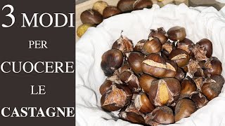 3 MODI PER CUOCERE LE CASTAGNE AL FORNO AL MICROONDE ED IN PADELLA CON IL SALE [upl. by Seda]