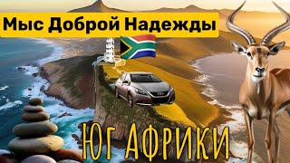 САМЫЙ ЮГОЗАПАД АФРИКИ Мыс Доброй Надежды Кейптаун ЮАР путешествия capetown southafrica [upl. by Ynaffet]