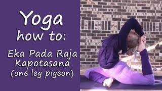 Yoga King Pigeon Tutorial [upl. by Benoite]