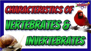 Characteristics of Vertebrates and Invertebrates  Science 6 Quarter 2 [upl. by Iborian990]