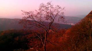 Wartburg Castle in Eisenach  beautiful Autumn Impressions [upl. by Chrisman]