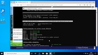 Installing Testsslsh Into OpenSUSE on Windows 10 WSGWSL [upl. by Terhune]