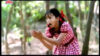 O Pappad Wale Panga na le  Shweta Prasad Makdee Song [upl. by Samau691]