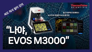 써모피셔 일타강의 Cell work Fiow에 필요한 위상차 형광 현미경 근데 이제 EVOS M3000을 곁들인 [upl. by Quackenbush]