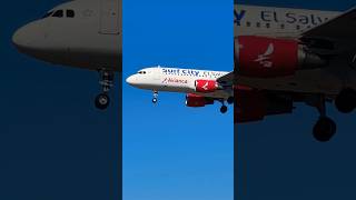 Avianca Airlines landing pilot aviation avgeek planespotting [upl. by Magnolia]