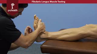 Fibularis Longus Muscle Test Palp Dr Vizniak Muscle Manual [upl. by Clintock]