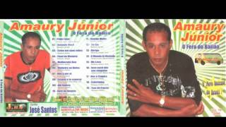 Cd Completo Amaury Junior Vol 10 [upl. by Shultz]