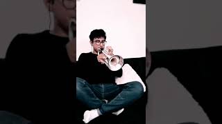 Ladyfingers By Herb Alpert  Trumpet Cover [upl. by Tnecnev]