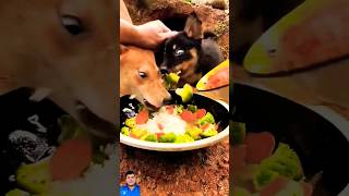 dog brothers eat like pigs shorts [upl. by Greenleaf]