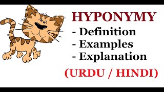 What is Hyponymy   Definition with Examples and Explanation  Urdu  Hindi [upl. by Haianeb]