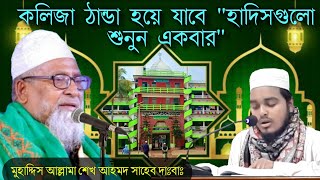 আরে মাশাআল্লাহ সত্যি খুব অসাধারণ কন্ঠে হাদিস গুলো শুনুন একবার  Hathazari Madrasa 202122 Years [upl. by Fionna410]