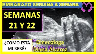 SEMANA 21 Y 22 DE EMBARAZO SEMANA A SEMANA POR GINECOLOGA DIANA ALVAREZ [upl. by Mildrid]