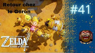 Zelda Echoes of Wisdom 41  Retour chez les Gorons  Le Village Réuni [upl. by Maurili]