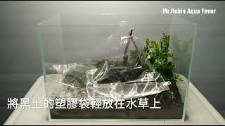 如何設置我的第一個水草缸 新手必看 how to build a aquatic plants aquarium fish tank in the first time new to make [upl. by Griseldis15]