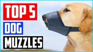 Best Dog Muzzles to Prevent Biting of 2023 Review  Top 5 Picks [upl. by Ylaek]