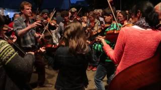 Ploun Fiddle Band l Festival du Violon Plouneour Menez Gavotte [upl. by Mauve]