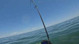 2024 Sea Doo Fish Pro Trophy A few first fish on this rig Montauk NY Fishing [upl. by Rockafellow]