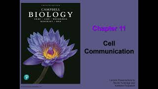 General Biology College  Chapter 11  Cell Communication [upl. by Blight]